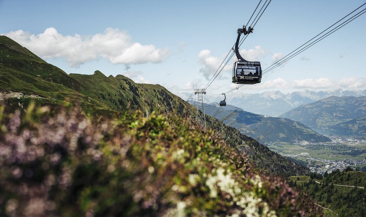 عطلتك الصيفية في تسل أم زيه متنوعة - الأنشطة