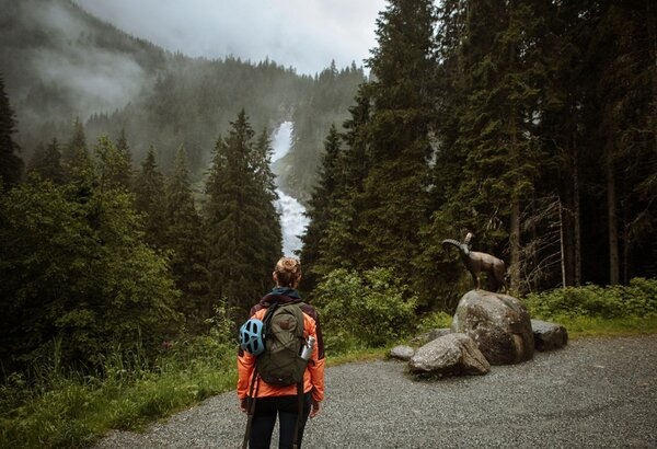 Urlaub mit Hund im hundefreundlichen Hotel, Zell am See 