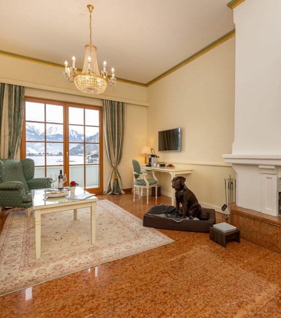 Urlaub mit Hund am See