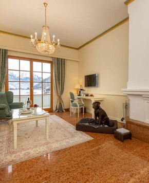 Urlaub mit Hund am See