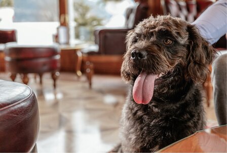 Inklusive im 4-Sterne-Superior-Hotel, Salzburger Land